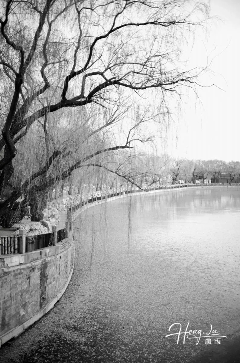 Serene Black and White Riverbank with Weeping Willow Tree