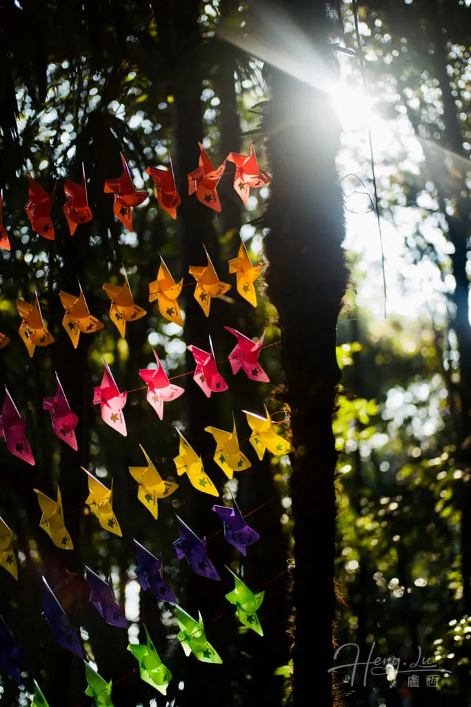 Colorful-paper-windmills-hanging-in-forest-sunlight