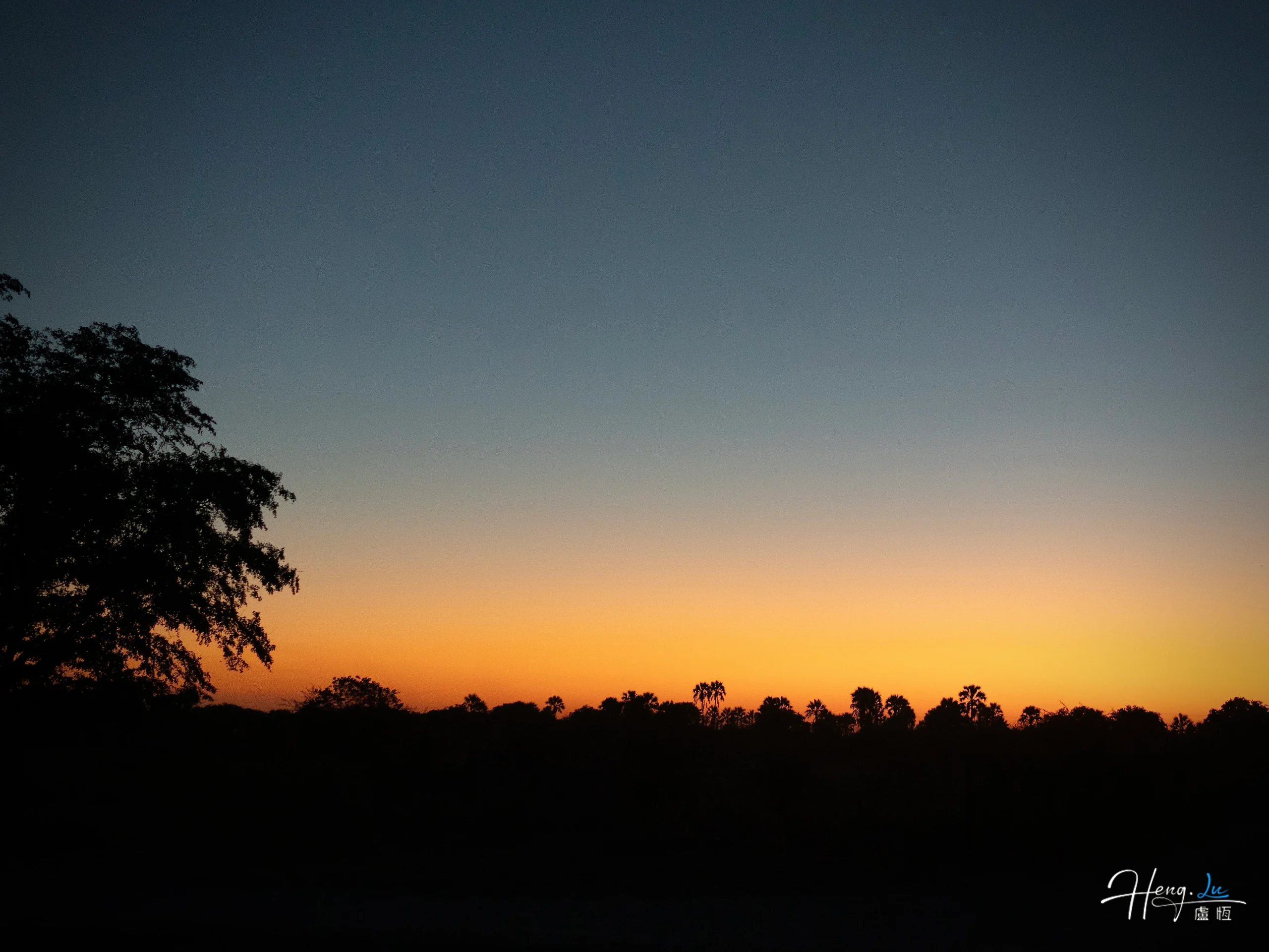Silhouetted trees under orange and blue dawn sky