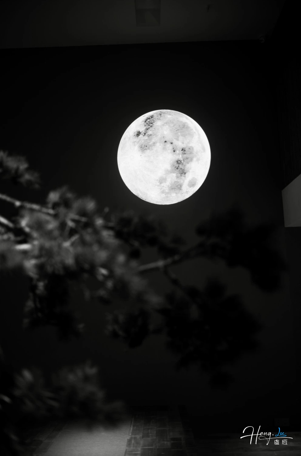 Black and white moon with tree silhouette