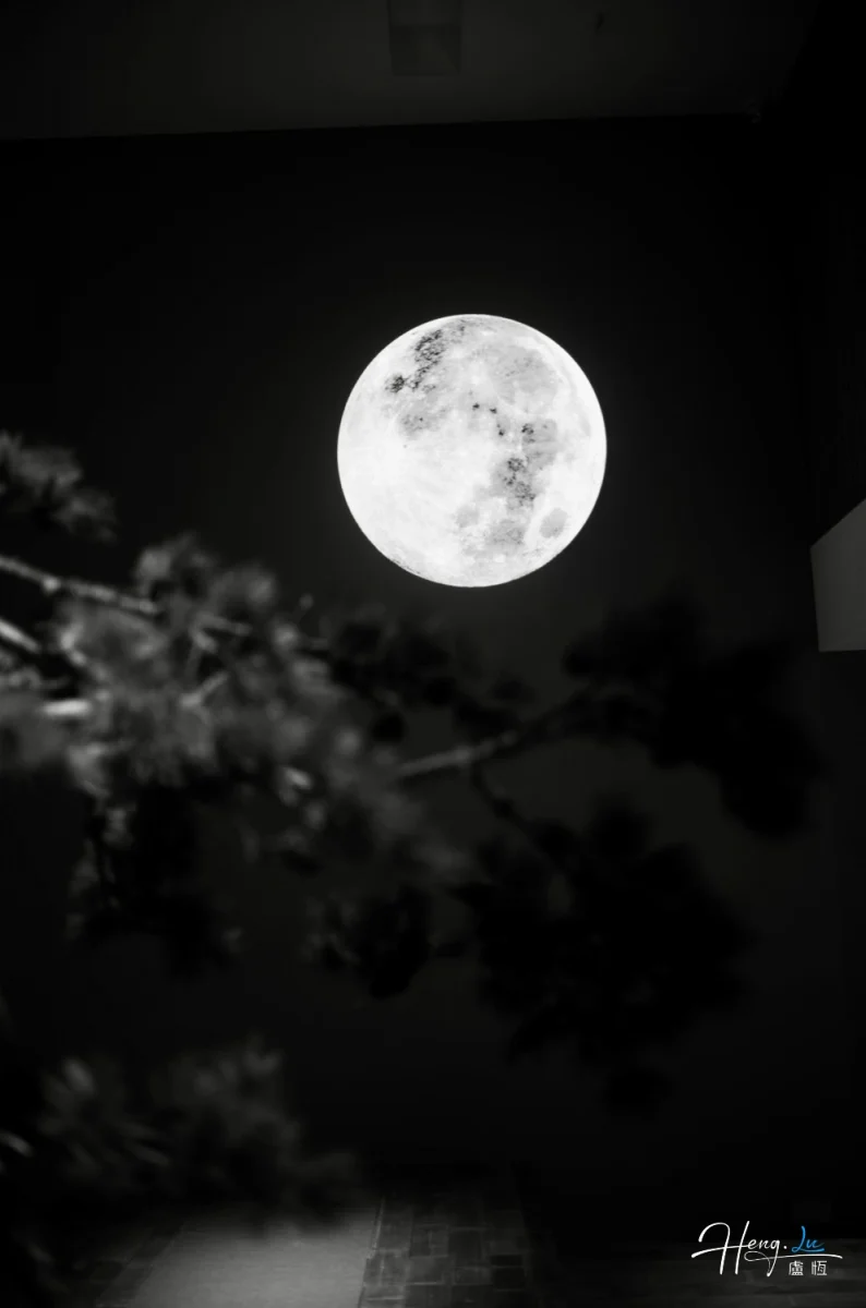 Black And White Moon With Tree Silhouette