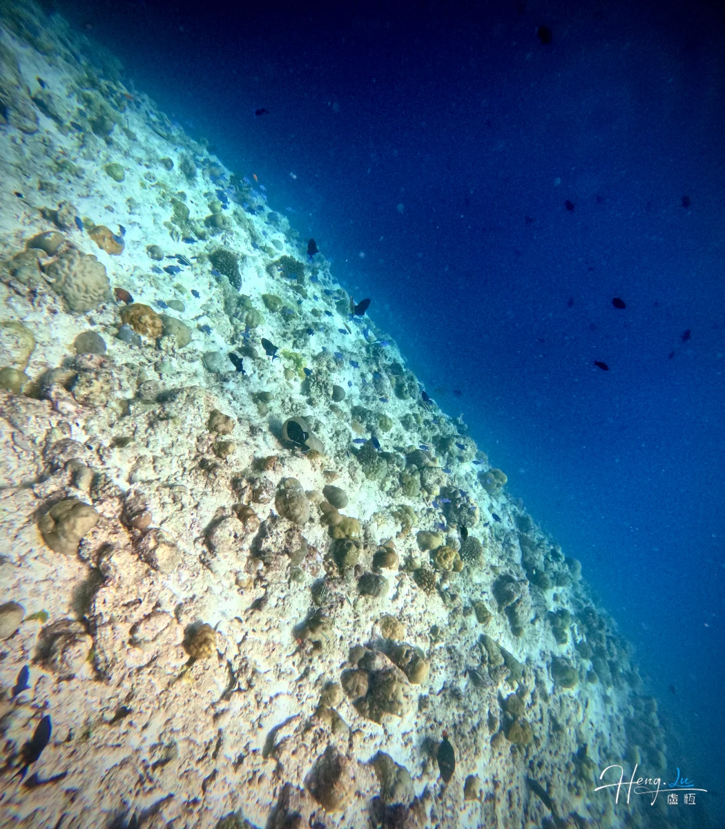 underwater-view-of-coral-reef-slope (1)