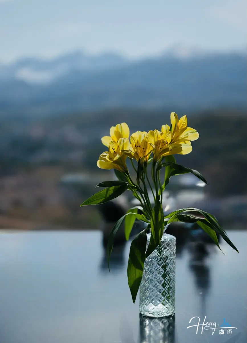 Yellow Flowers In Glass Vase With Mountain Backdrop