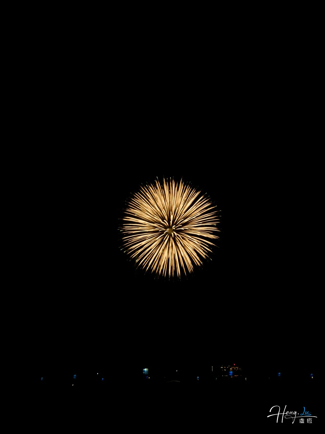 Single Golden Firework Burst Against Dark Night Sky in Stunning Display
