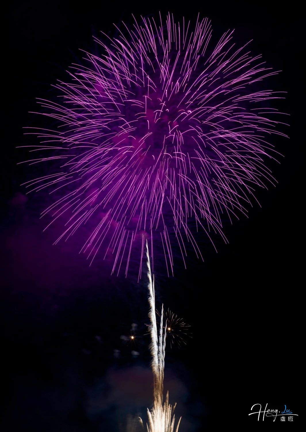 Large Purple Firework Exploding Against Dark Night Sky in Vivid Display