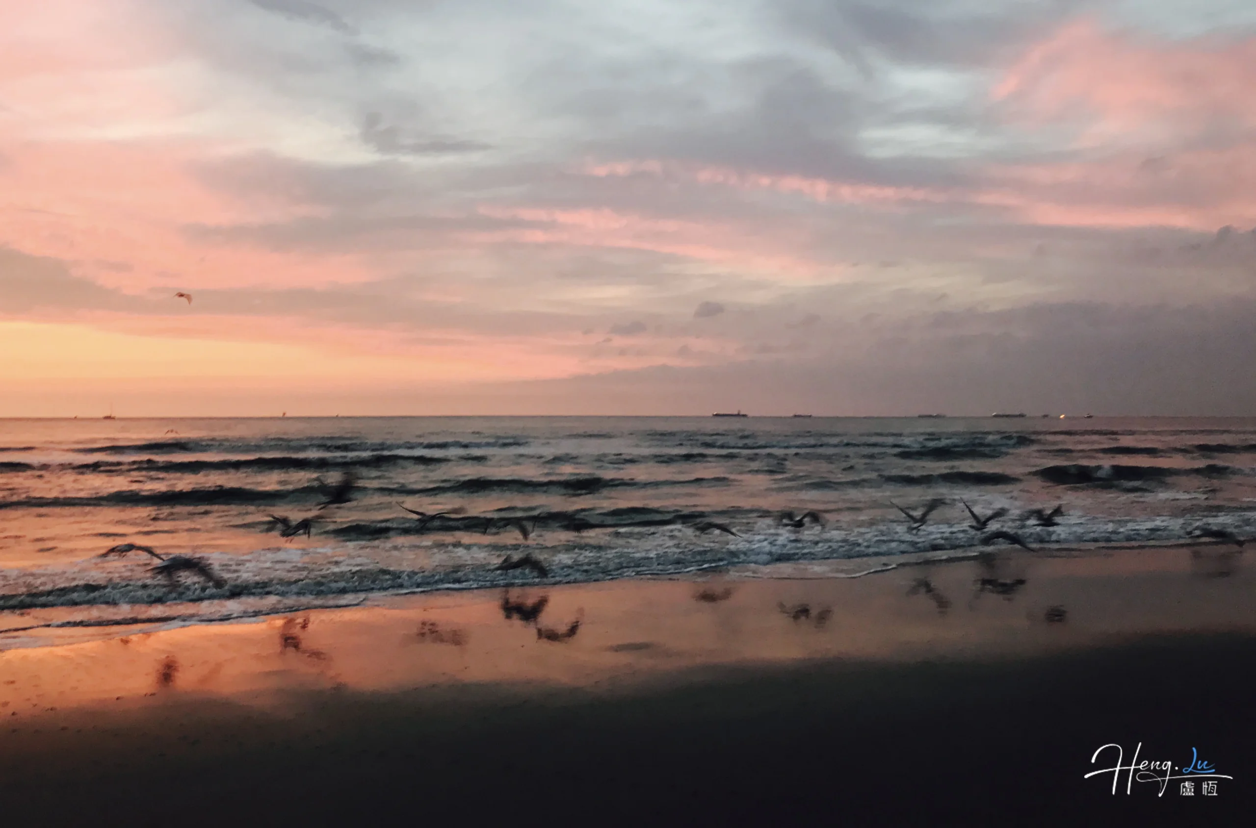 Gaviotas sobre una playa con reflejos rosados y violetas al atardecer