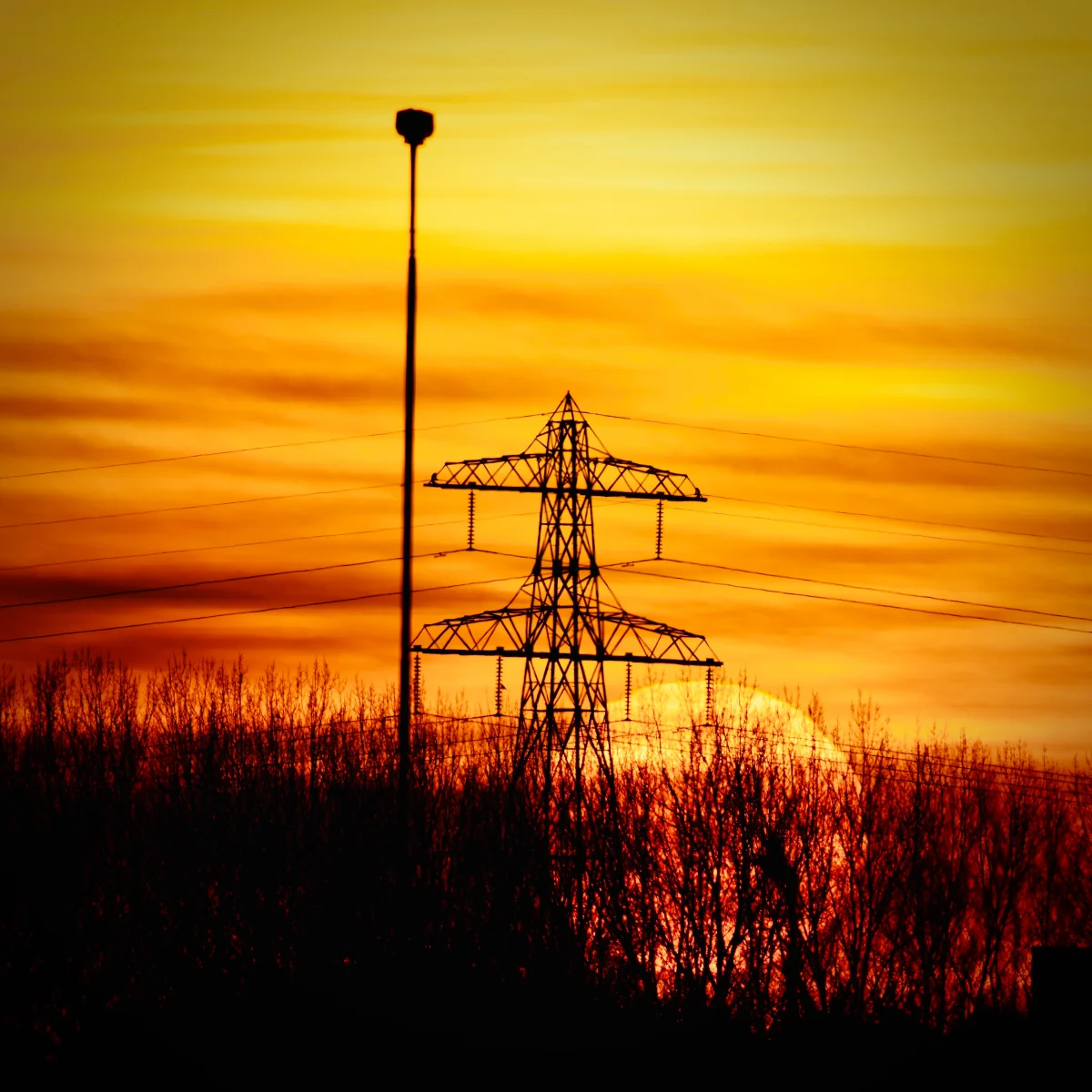 Sunset Powerlines Above Trees