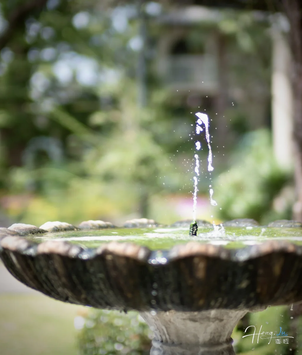 Fountain Splashing Water In Garden