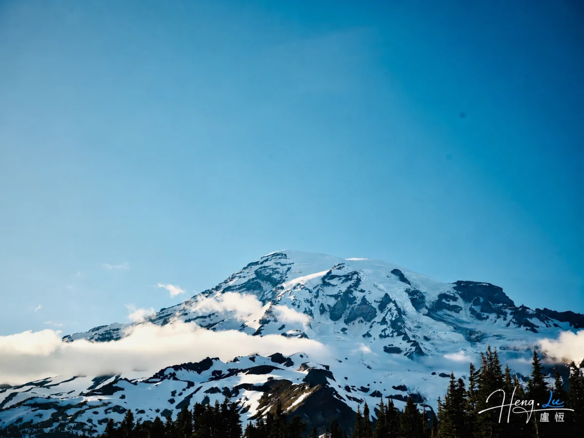 Mount Rainier Snowy Peak Evergreen Forest