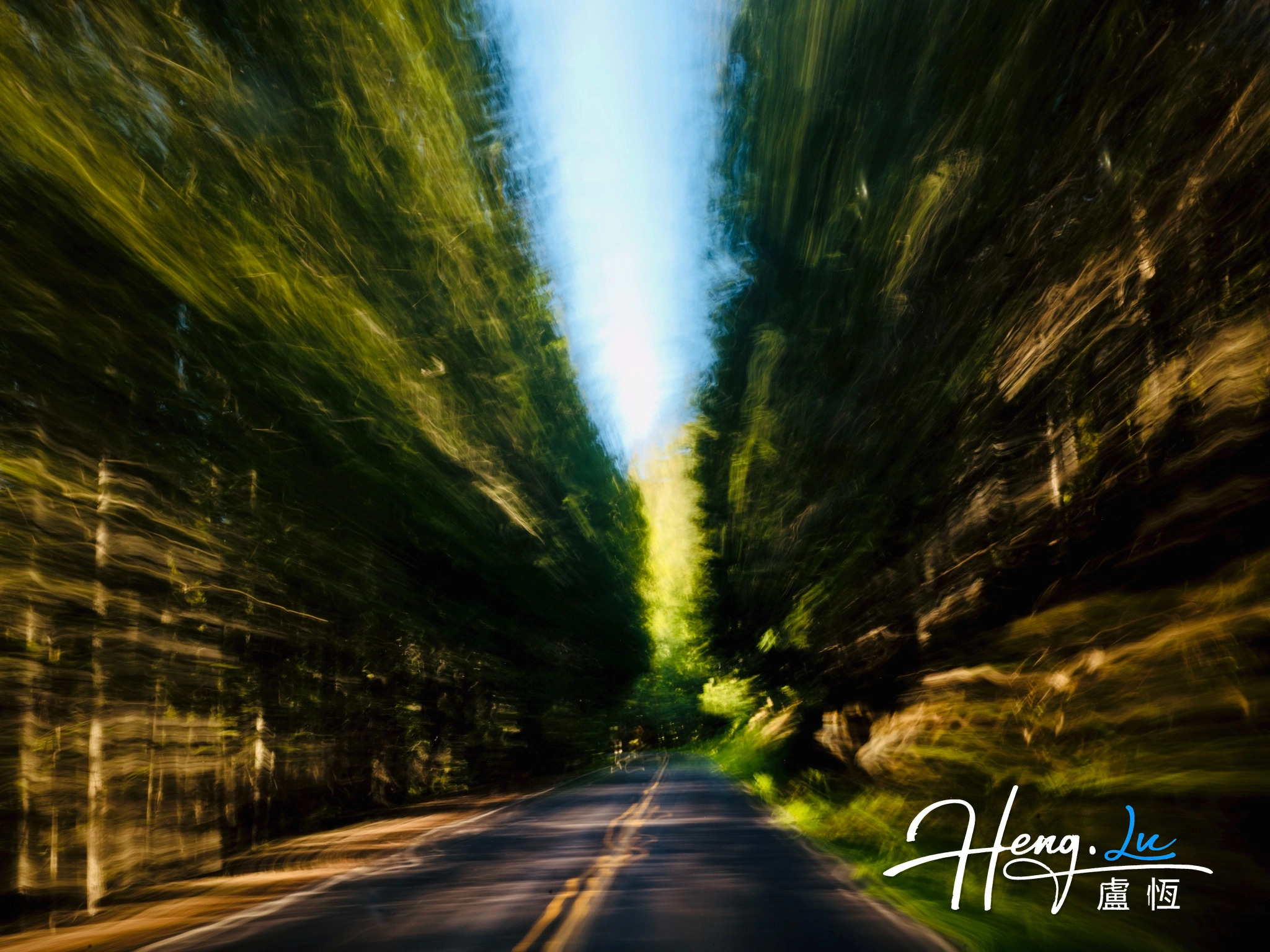 Motion Blur Forest Road