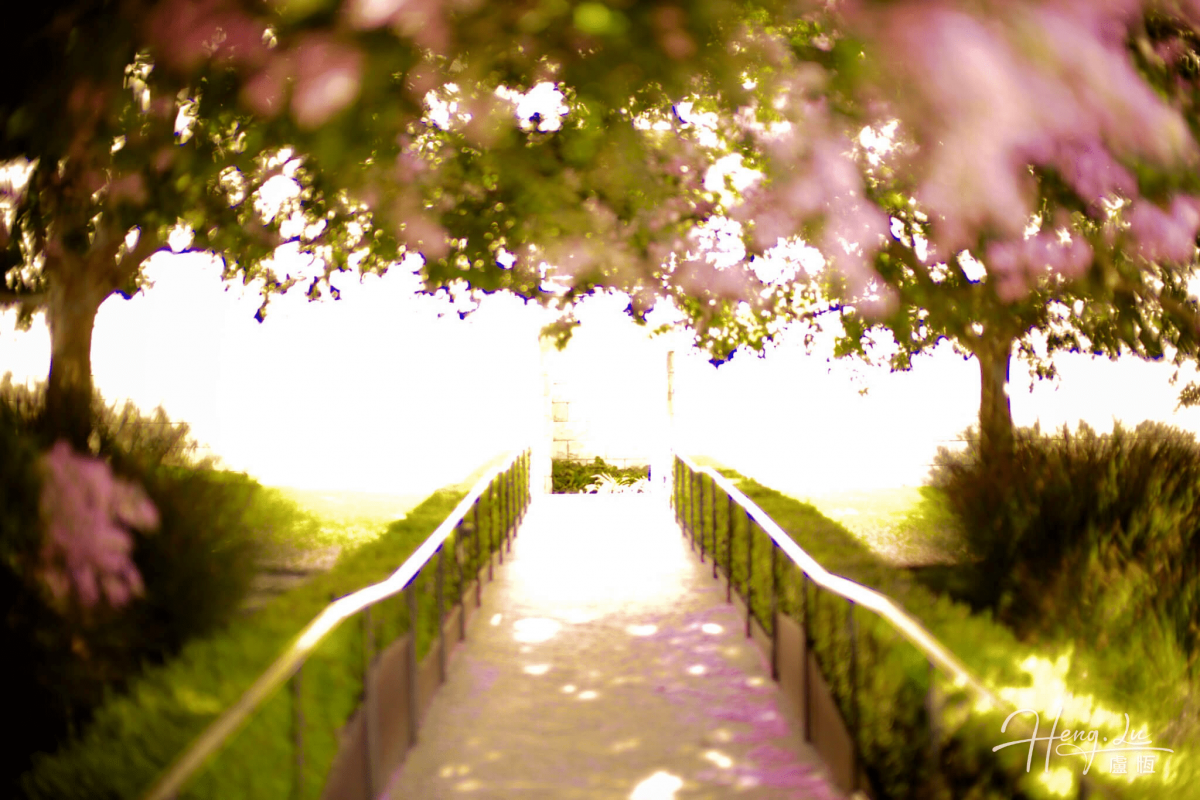 Dream’s road
