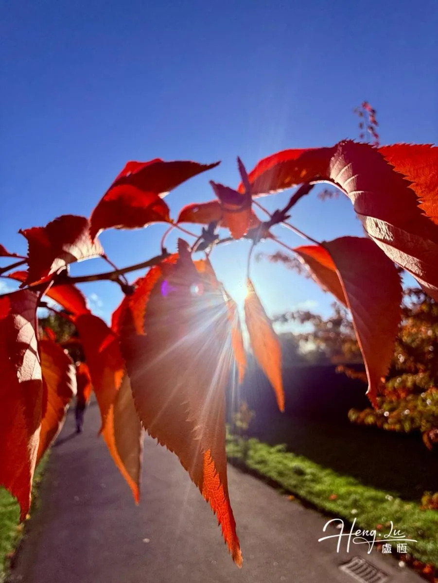 Whispers of Autumn