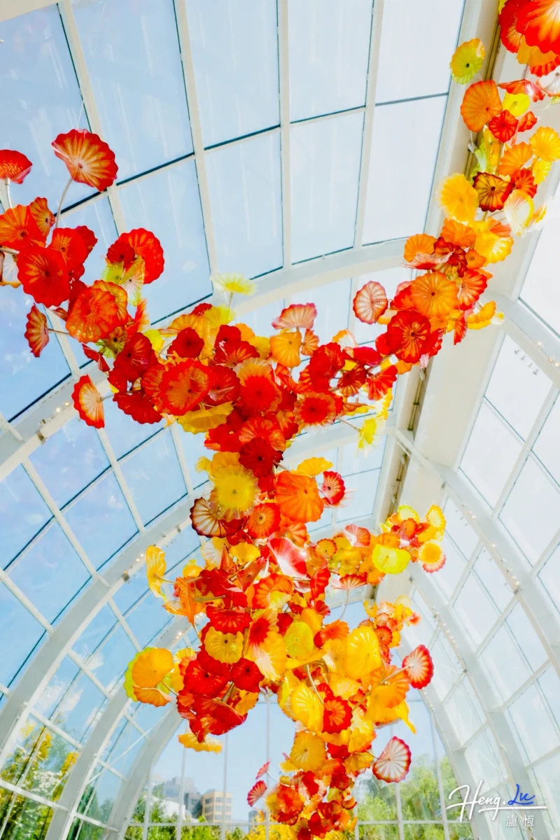 Sunlit Floral Cascade
