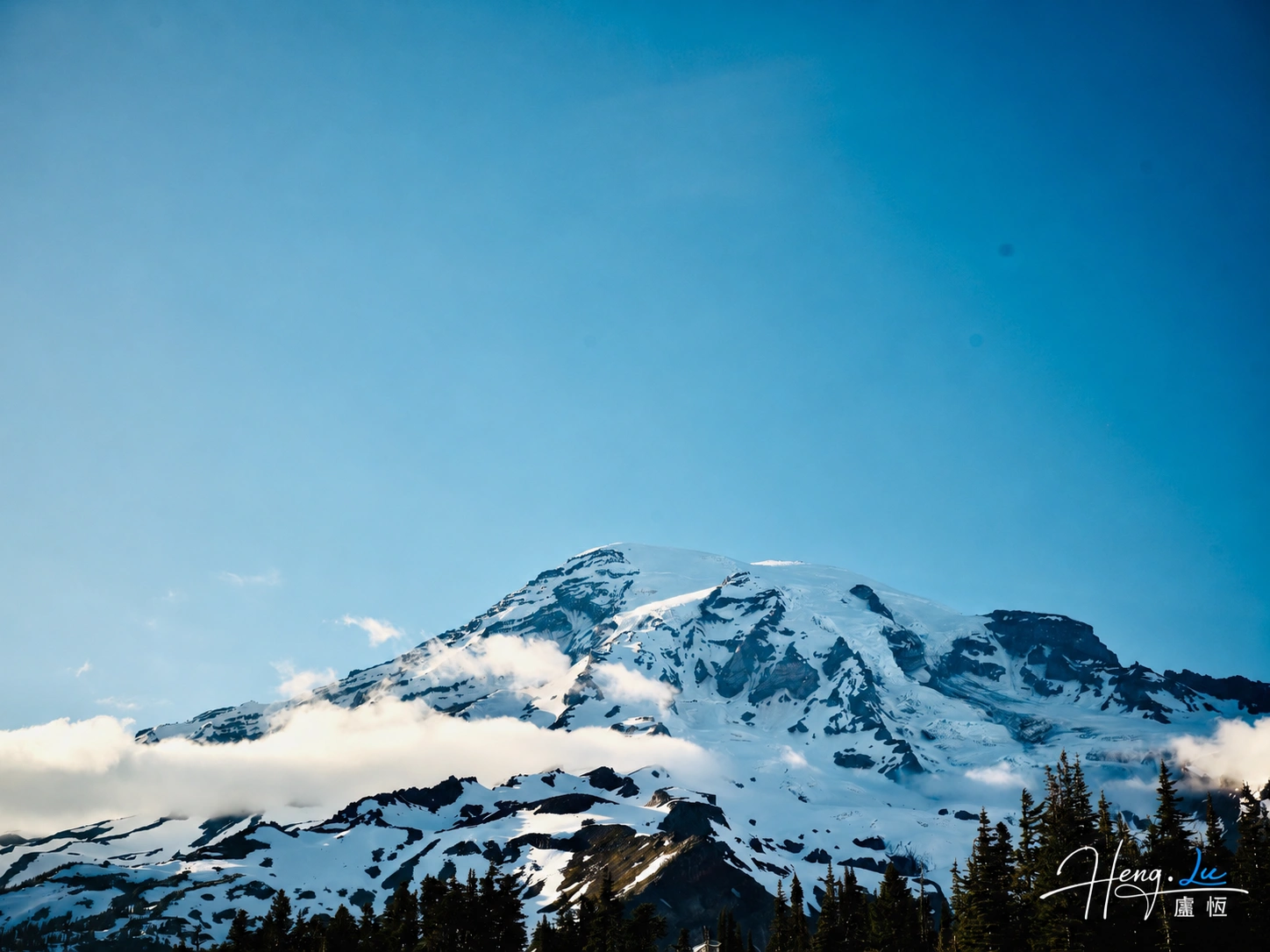 Mount-rainier-snowy-peak-evergreen-forest