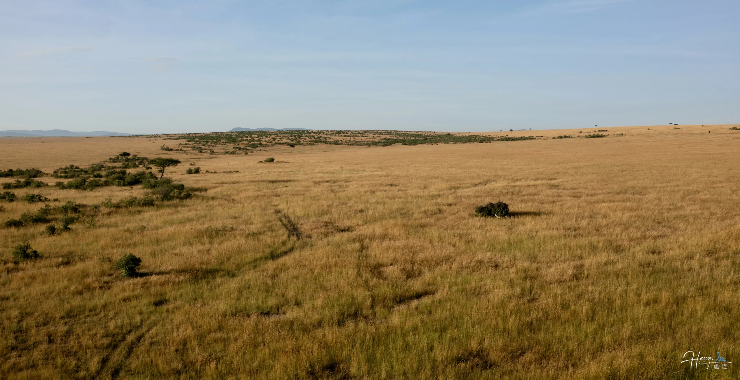 Golden savannah under clear blue sky