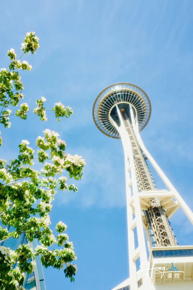 Seattle Space Needle Spring Blossoms