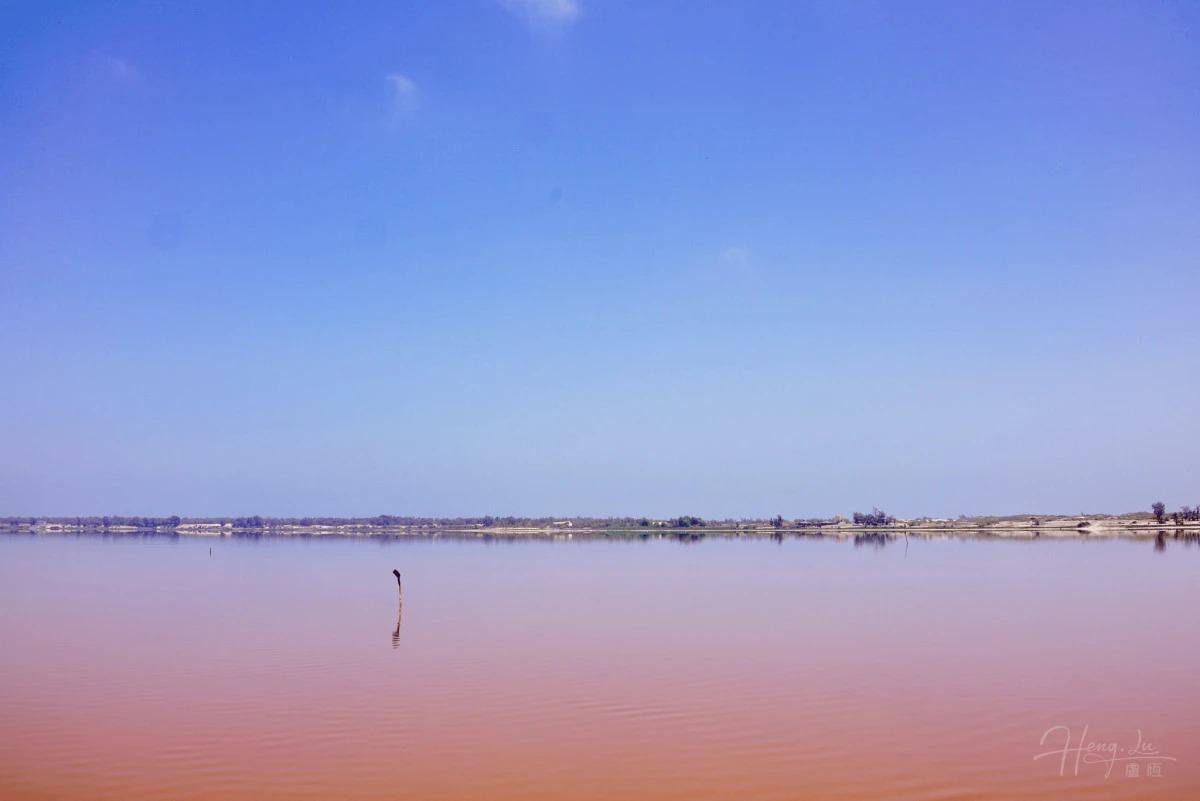 Tranquil Pink Lake Under a Clear Blue Sky