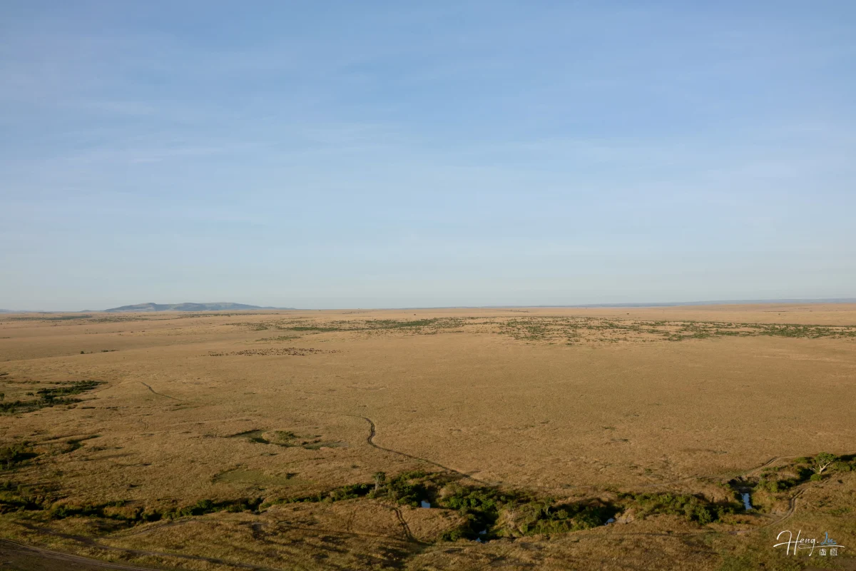 Vast Savannah Landscape Under Morning Sky