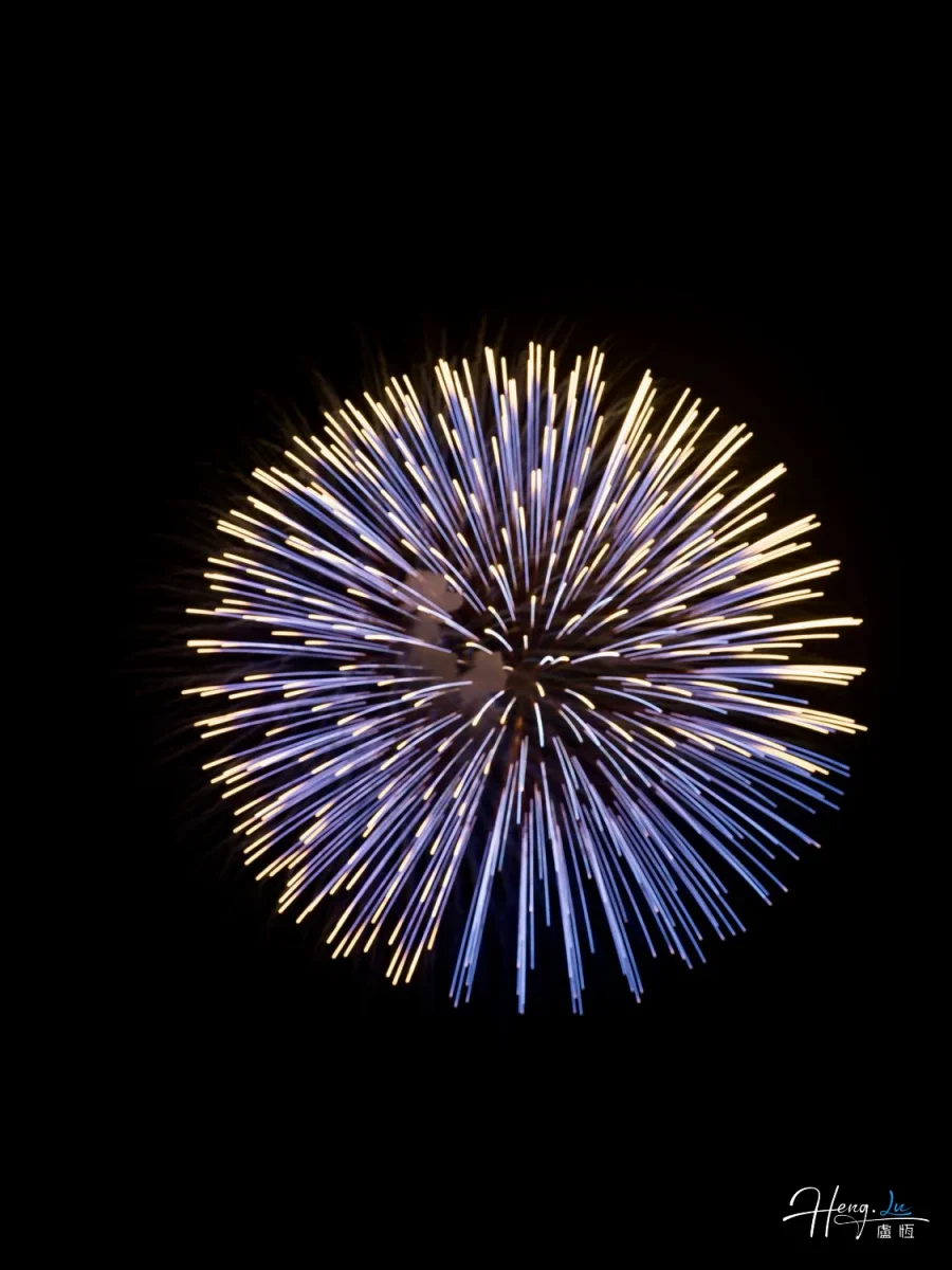 Blue And Golden Firework Blooming Brightly In Night Sky