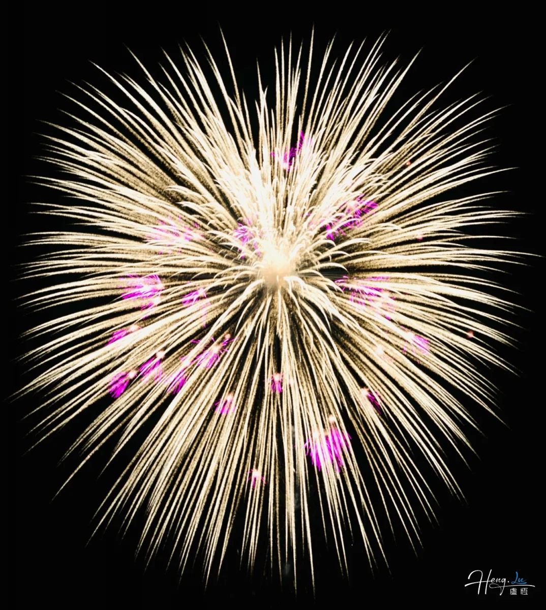 Golden-firework-with-purple-sparks-illuminates-dark-night-sky