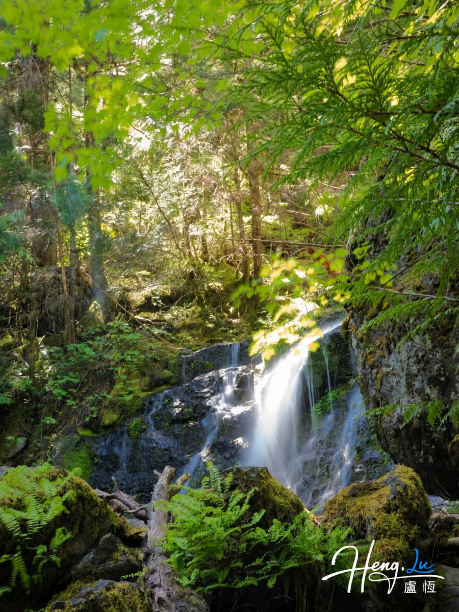 Sunlit Forest Waterfall Mossy Rocks