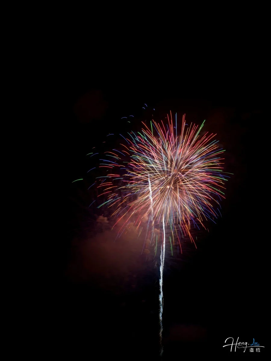 Single Multicolor Firework Bursting In Night Sky