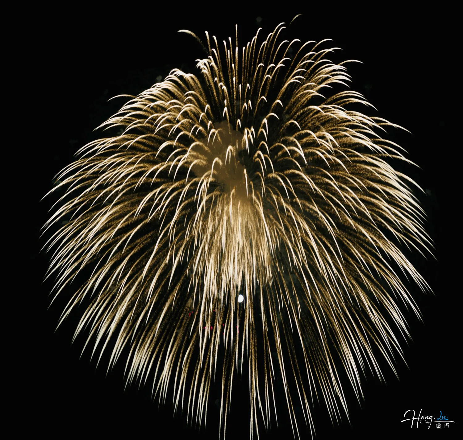 Golden Firework Bursting Brightly Against Dark Night Sky in Spectacular Display