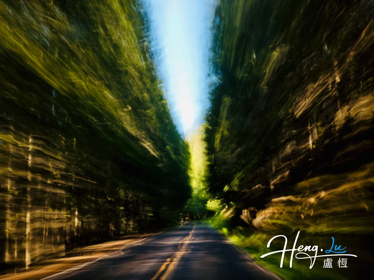 Motion Blur Forest Road