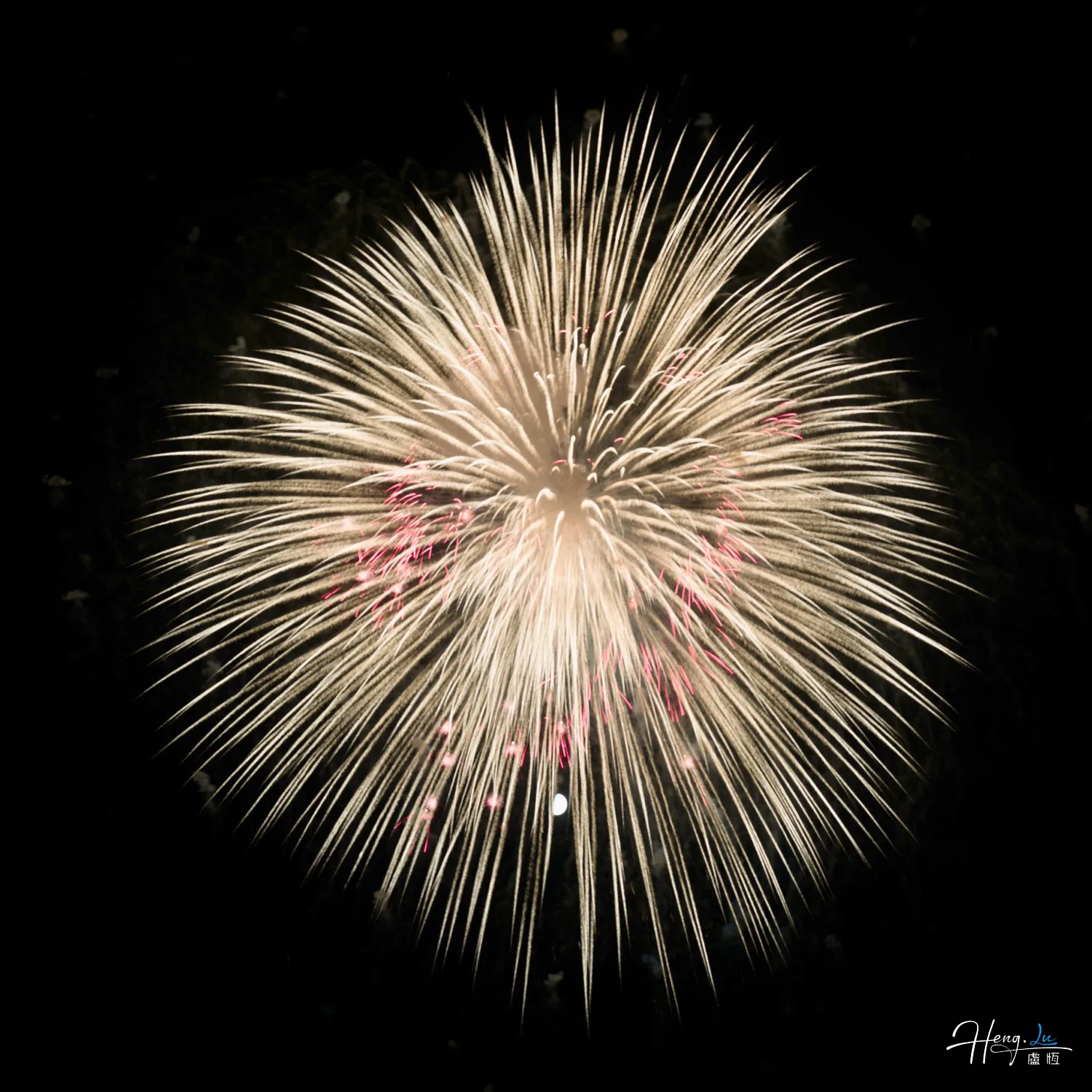 Pale Golden Firework with Red Sparks Bursting Against Night Sky