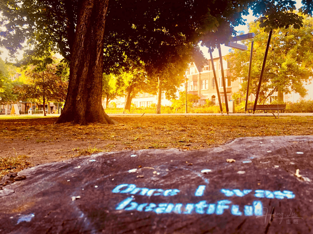 A Message in the Sunlight Summer