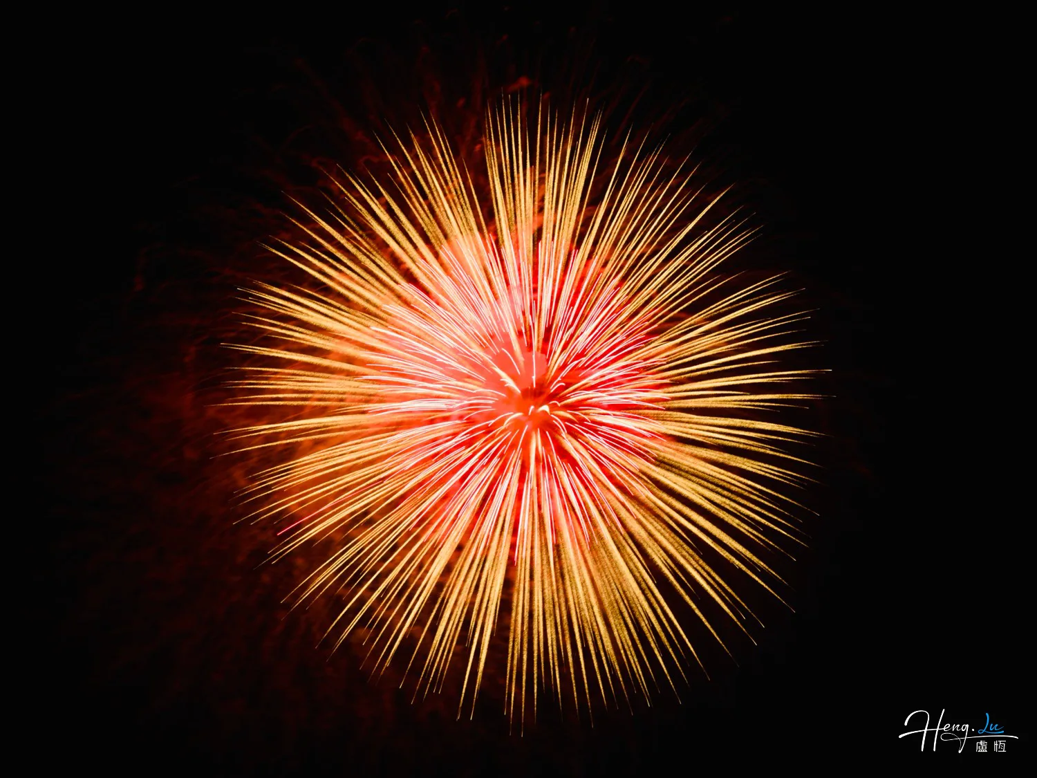 Red and gold firework bursting in dark night sky