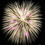 Golden-firework-with-purple-sparks-illuminates-dark-night-sky