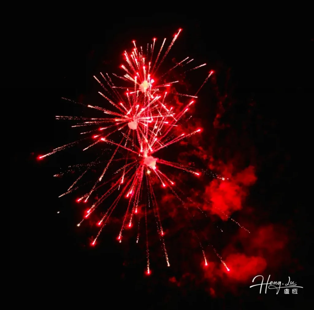 A Red Flower in the Dark Sky Red-firework-in-dark-sky
