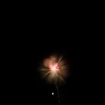 Soft Golden Firework with Red Center Blooming in Dark Night Sky Soft-golden-firework-blooms-with-red-center-in-dark-sky