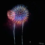 Vibrant Multicoloured Fireworks Blooming Together in Midnight Sky Celebration Vibrant-multicolored-fireworks-bloom-together-in-midnight-celebration