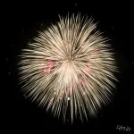 pale-golden-firework-with-hints-of-red-sparks