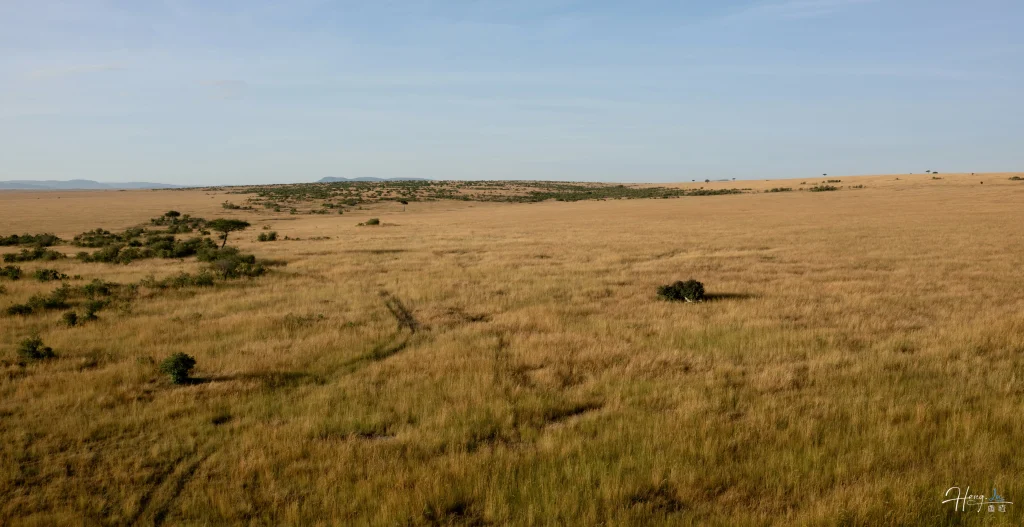 Golden savannah under clear blue sky golden-savannah-under-clear-blue-sky