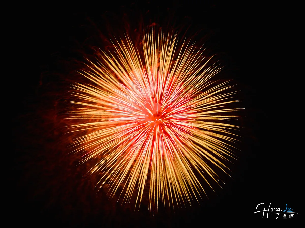 Red and gold firework bursting in dark night sky