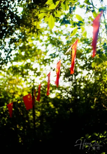 String-of-red-China-flags-hanging-among-green-trees
