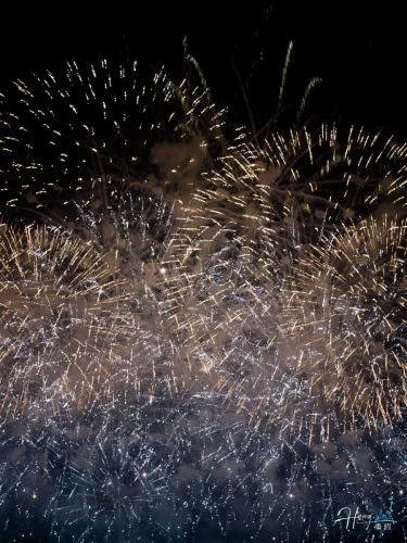 gold-and-silver-fireworks-filling-night-sky